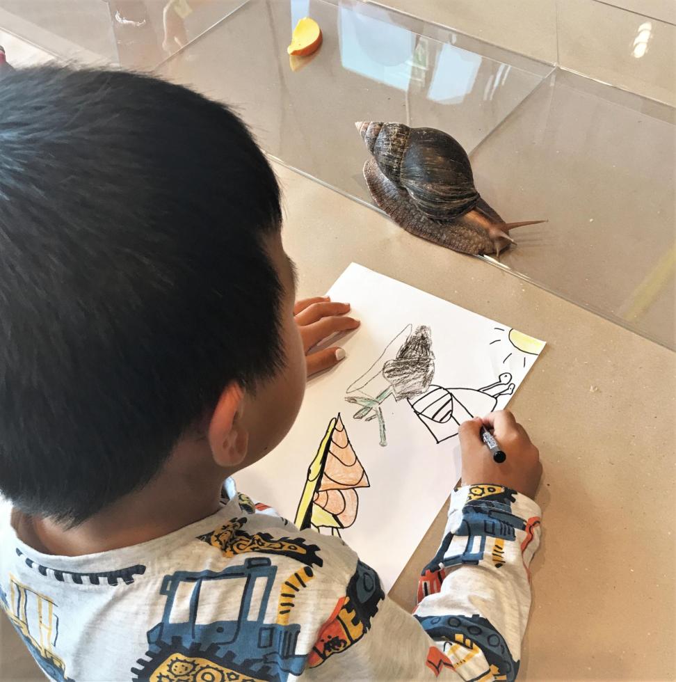 KREAværksted: Snegle-croquis 