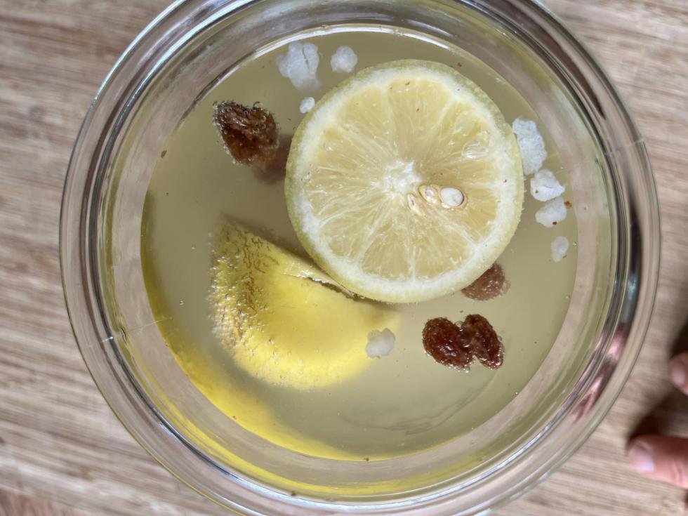 Vand-kefir for begyndere