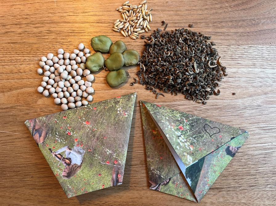 Planteværksted - frøgaver