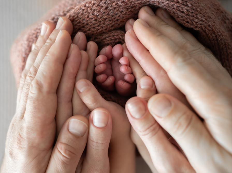 AFLYST Familieliv med overskud