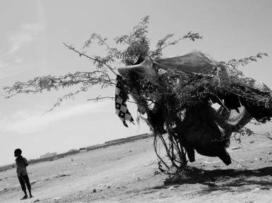 Konsekvenser fra konflikt - Somalia og fuld-skala 