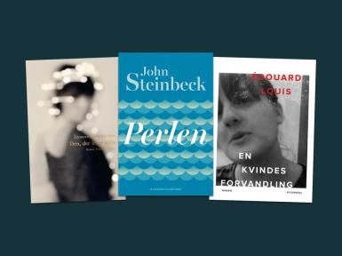 Dokk1 læser livet højt 