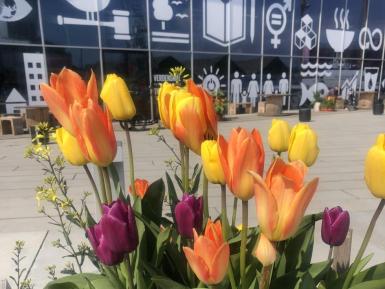 Aflyst - Planteværksted 30.3.2026