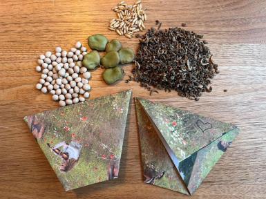 Planteværksted - frøgaver