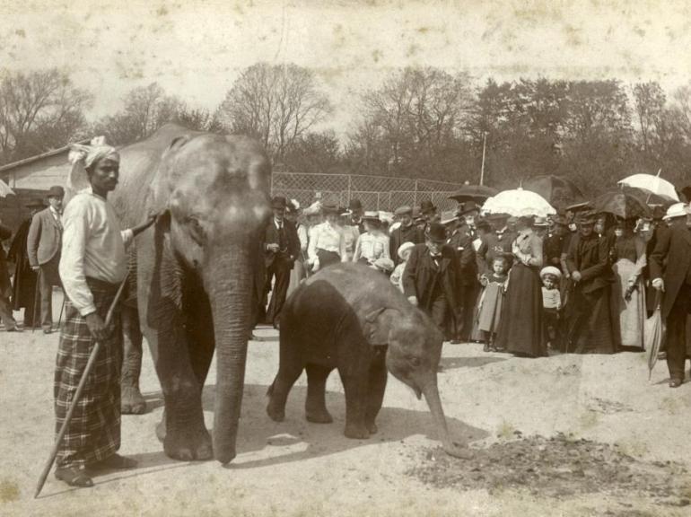 Menneskeudstillinger, racelære og stjålne kranier - mød Jesper Wung-Sung